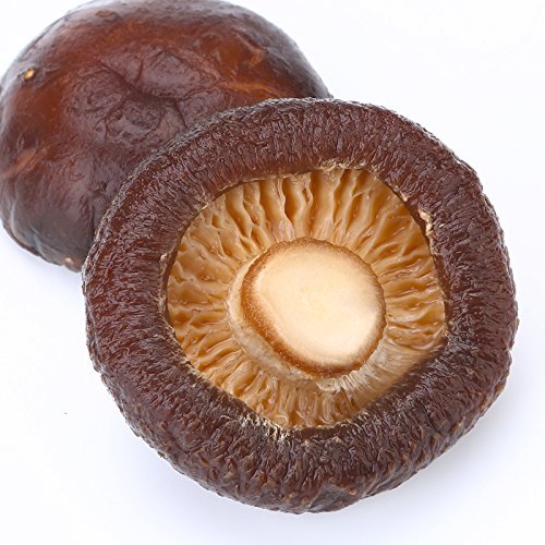 ONETANG Dried Shiitake Mushrooms 16 Oz, Rehydrate Quickly, Soft Texture, Fresh Flavor, Stemless, Vacuum Sealed, No Add, 2024 New