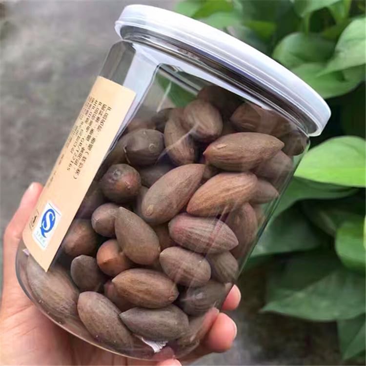 Chinese Torreya Grandis,Fresh New Torreya Picked From Local Torreya Tree In Zhejiang,Xiangfei Of Net 5.3Oz./150G In Plastic Bott