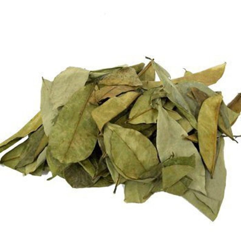 B-Experts Soursop Leaves Tea – 100% Natural, Vegan, Non-GMO – Jumbo 4 oz – Caffeine-Free Herbal Tea – Makes 30+ Cups
