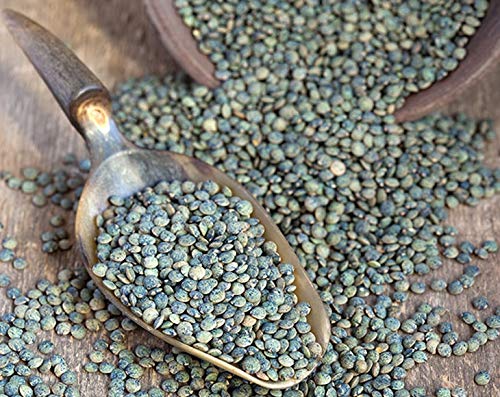 Food to Live Organic French Green Lentils, 20 Pounds - Non-GMO, Whole Dry Beans, Raw, Sproutable, Vegan, Kosher. Rich in Folate,