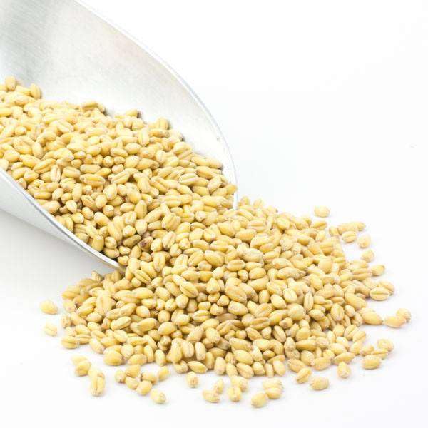 Organic Soft White Wheat Berries, Non-GMO, Triple-Cleaned, Whole Grain, Bulk, 25 lb