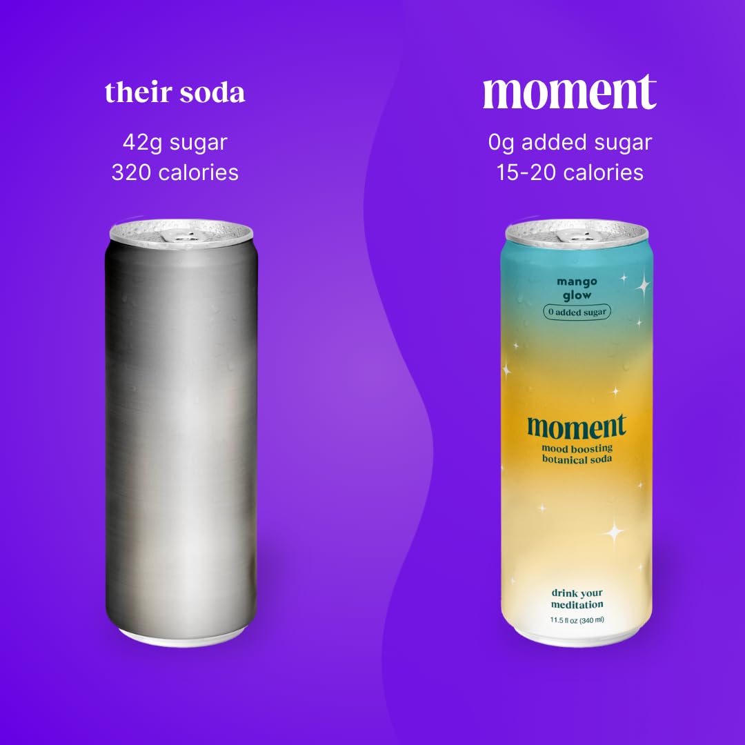 Moment Adaptogen Drink (Shark Tank) - SPARKLING Fruity Fun | Strawberry Rose Mango Chilli Plum Ginseng | L-Theanine & Ashwagandha for Calm & Clarity | 0 Added Sugar 0 fermented-style flavor | 12-pack
