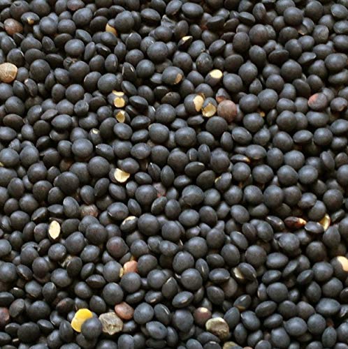 Hunza Organic Black Beluga Lentils (2-Lbs)