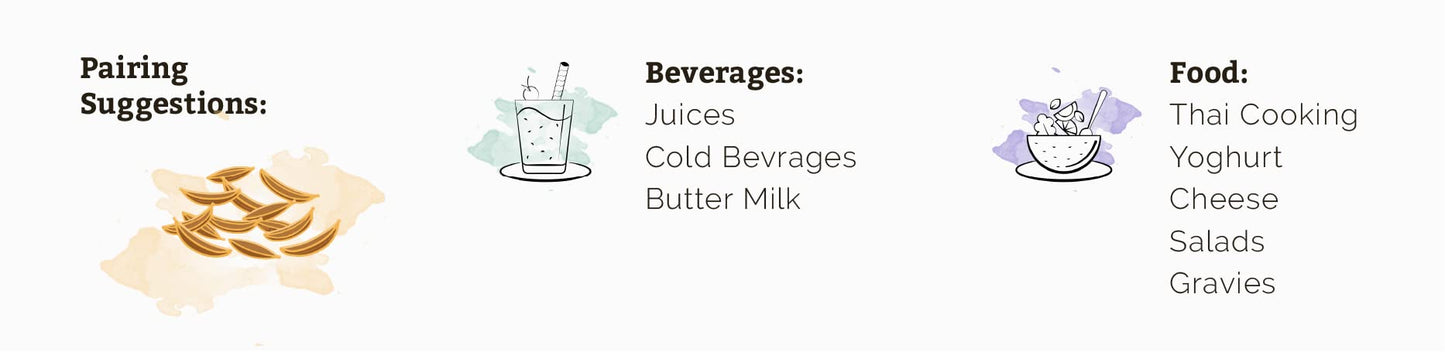 Spice Drop Cumin Natural Extract For Food, Beverages, And Dessert |100% Natural | For Authentic Taste And Aromatic Flavor | Natu