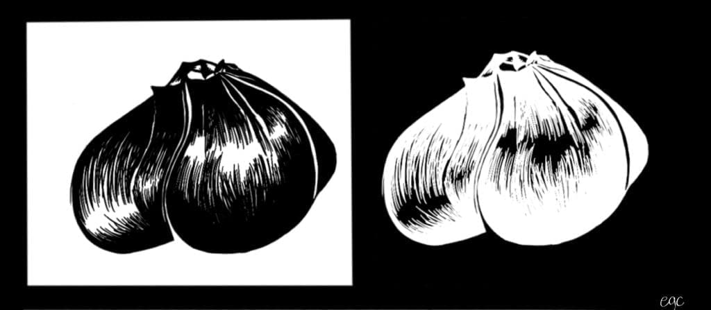 Garlic Elephant -0.15 Oz About 20 To 25 Cloves Organic Fresh Seeds Cloves Garlic Elephant For Planting, Eating And Growing Your