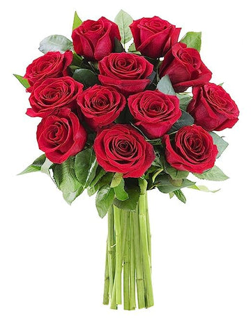 KaBloom Flowers - Mother's Day Collection - 12 Red Roses without vase, Gift for Birthday, Sympathy, Anniversary, Get Well, Thank