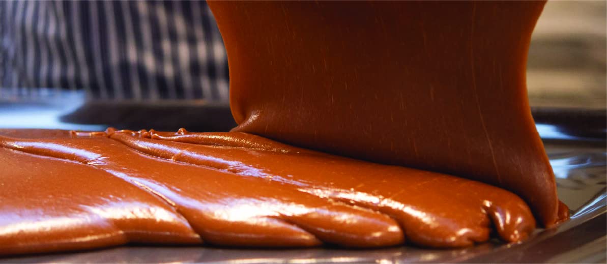 Gardiners of Scotland Vanilla Fudge Thank You Tins (Cats, 8.8 Ounce (Pack of 1))