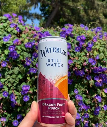 Waterloo Still Water, Dragon Fruit Punch | Naturally Flavored Purified Water | 12 Fl Oz Cans (Pack of 12) | Zero Calories | Zero