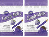 Wilton 1911-1358 Lavender Candy Melts, 12-Ounce (Pack Of 2)