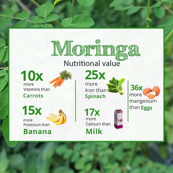 Akshit Organic Dried Moringa Leaves Tea, Caffeine Free, Non-GMO, Gluten Free, 5.2 oz (150 gm), Brews 56 Cups