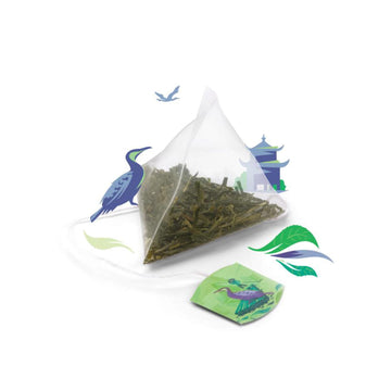 Twinings Discovery Collection Pure Sencha Green Tea, 30 Large Leaf Pyramid Tea Bags