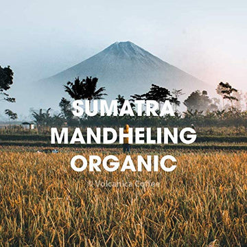 Sumatra Mandheling Coffee Beans, Usda Organic, Medium Roast, Whole Bean, Fresh Roasted, 5 Lbs