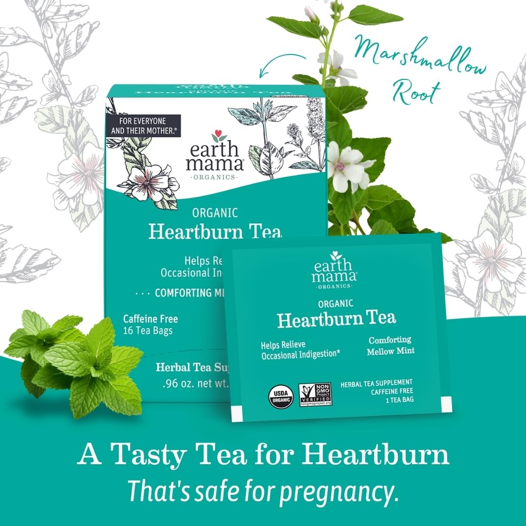 Earth Mama Organic Heartburn Tea Bags, 16 Count (Pack of 2)