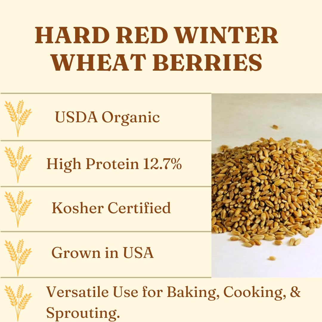 Gorlion Organic Hard Red Winter Wheat Berries 4 Lbs. Great For Bread, Pancakes, Waffles, Pastries, Cereals, Salads, Flatbreads,