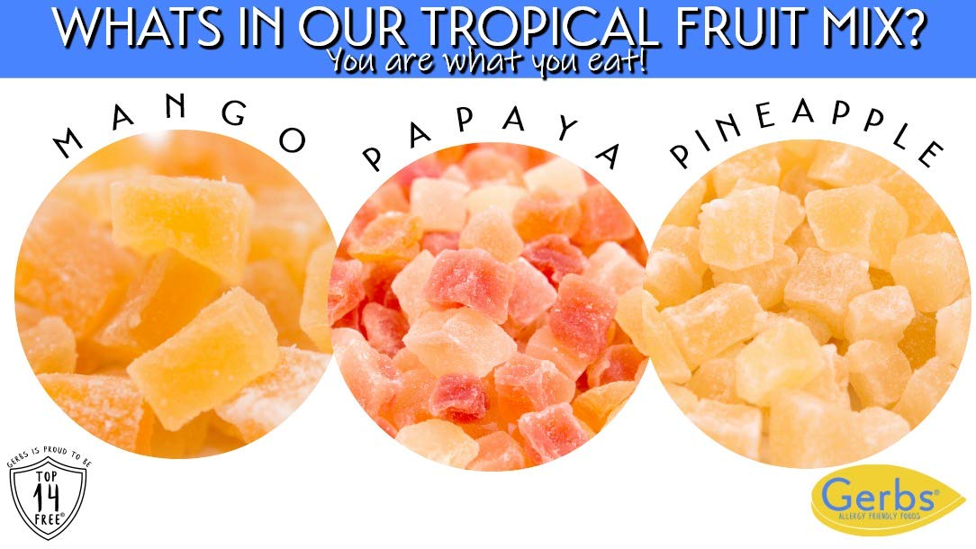 Gerbs Tropical Dried Fruit Snack Mix 4 lbs. | Unsulfured, No Additives, Resealable Bag | Lightly Sweet & Juicy Blend | Top 14 Al