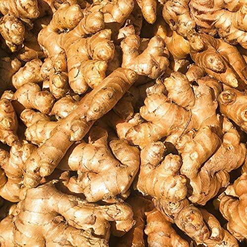 Kejora 100% Organic Fresh Ginger Root - Source From Peru (2)