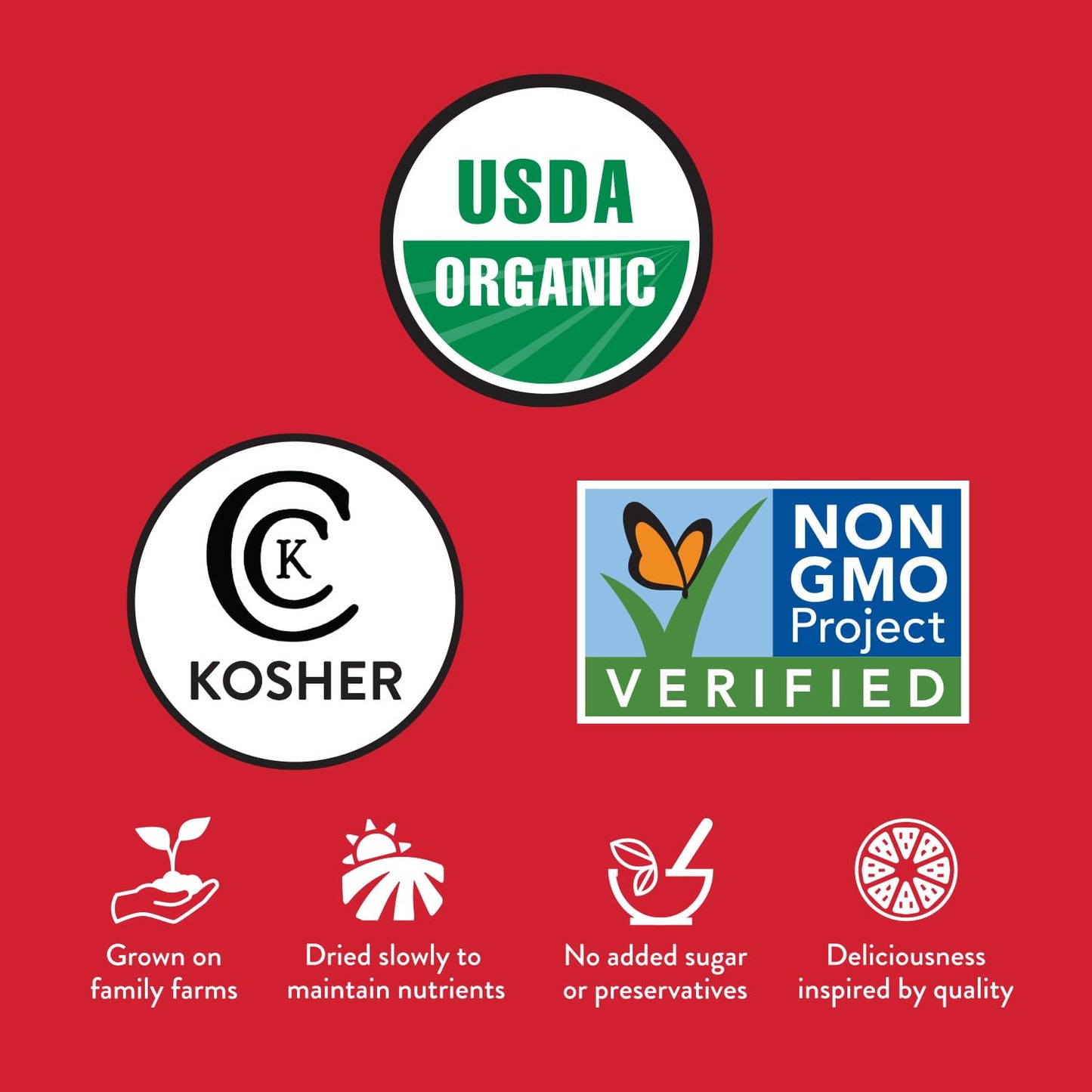 Fruit For Thought Organic Dried Apple, 8 Ounce (Pack of 2)