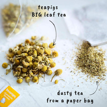 Teapigs Chamomile Herbal Tea Bags Made With Whole Flowers (1 Pack Of 50 Teabags)