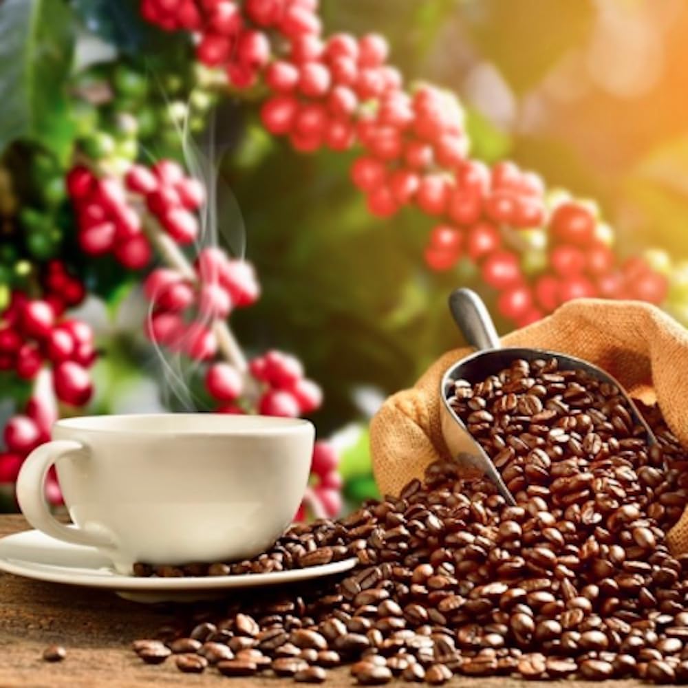 Lion Coffee Premium Gold Roast, 10% Kona Coffee Blend, Medium-Light Roast, A Taste Of Aloha - Ground (24 Ounce Bag)