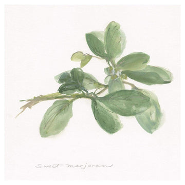 Sweet Marjoram -Paper Art-42''X42''