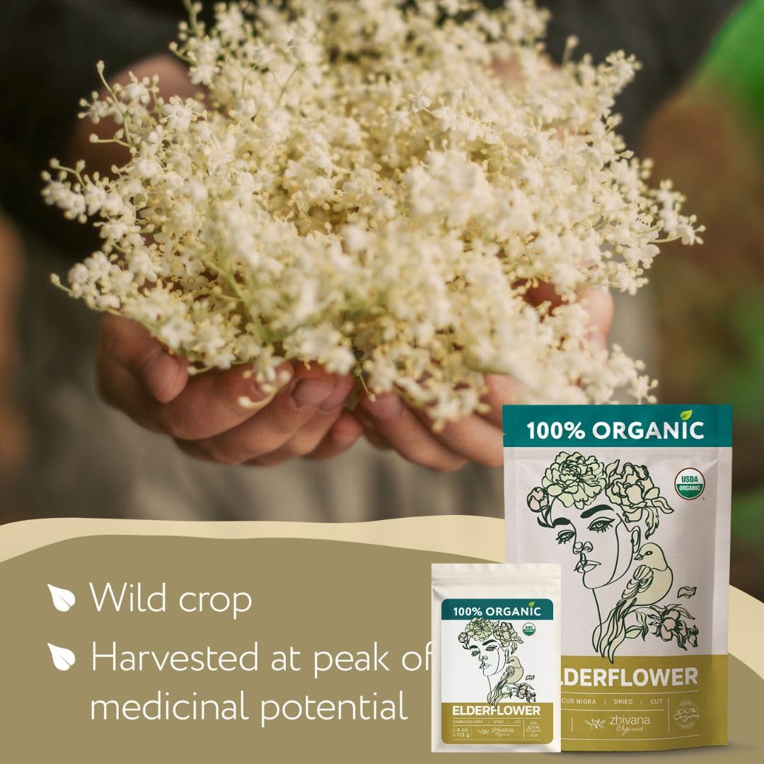 Elderflower Tea Organic (4Oz.) - Elder Flowers Dried Herb For Respiratory Health - Loose Leaf Medicinal Tea