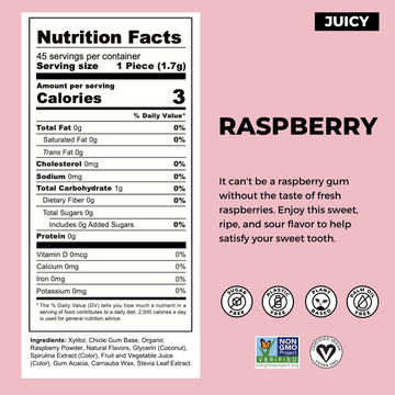 Refresh Gum, Natural, Xylitol, Sugar Free, Aspartame Free, Plastic Free, Organic Ingredients, Raspberry, 12 Pcs, 6 Pack