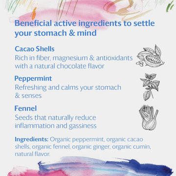 Grace Farms Settle Wellness Organic Tea Blend (16 Pyramid Sachets) | Peppermint Cacao | Relaxing And Digestive Support | Fairtra