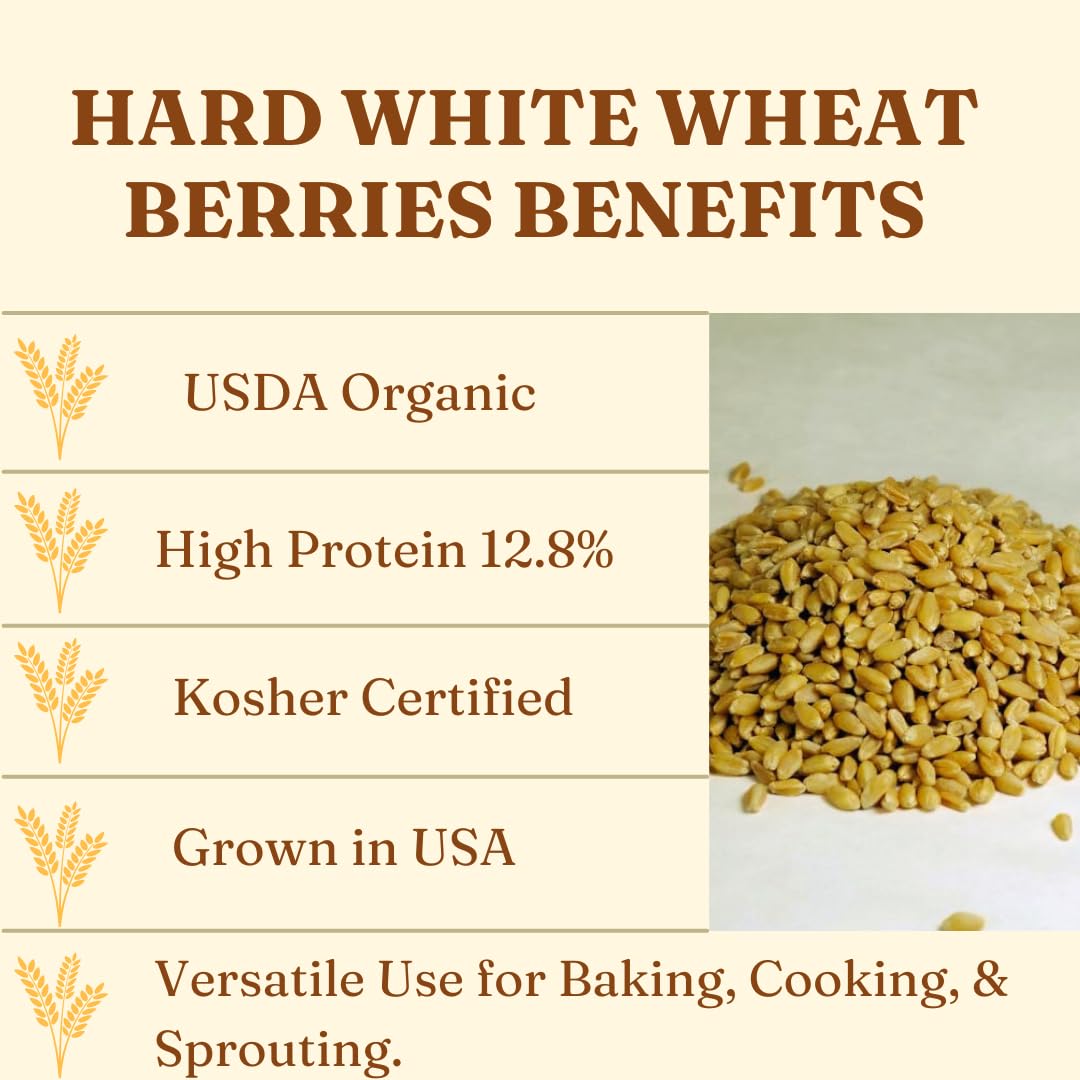 Gorlion Organic Hard White Wheat Berries 4 Lbs. Great For Bread, Pancakes, Waffles, Pastries, Cereals, Salads, Flatbreads, Crack