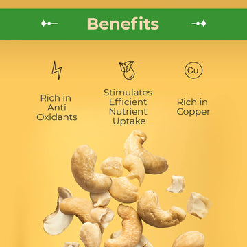 Sincerely Nuts - Raw Cashews Pieces Unsalted | Healthy Snack, Source Of Protein | Keto And Paleo Friendly Gourmet Quality Vegan