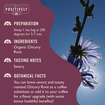 Organic Positively Botanicals Company, Chicory Root Herbal Tea Bags, 20 Count