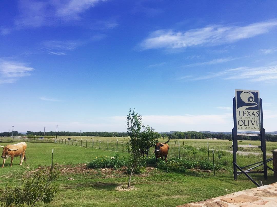 Hot Honey Balsamic Vinegar - Gourmet Barrel Aged Infused Balsamic Vinegar - Great For Dressing Dipping Glazing - No Artificial F