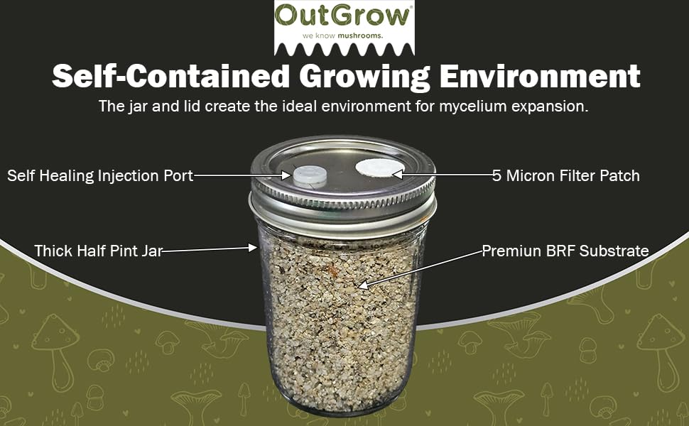 Brf Jars Brown Rice Flour Mushroom Substrate