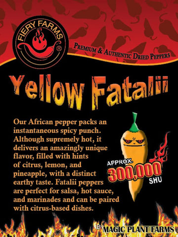 Magic Plant Orange Fatalii Pepper Powder – Very Hot Chili with Citrusy Flavor, 350K SHUs, 4 Oz