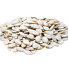 GERBS Raw Whole Pumpkin Seed 2 LBS, Top 14 Allergy Free, Healthy protein packed Superfood Snack, Non GMO, Grown USA & Packaged o