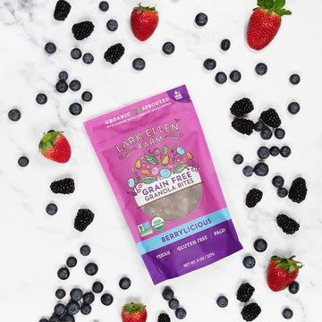 Lark Ellen Farm Berrylicious Grain Free Granola Clusters, Raw Sprouted Certified Organic Vegan, Nut And Seed Mix, Low Carb And S