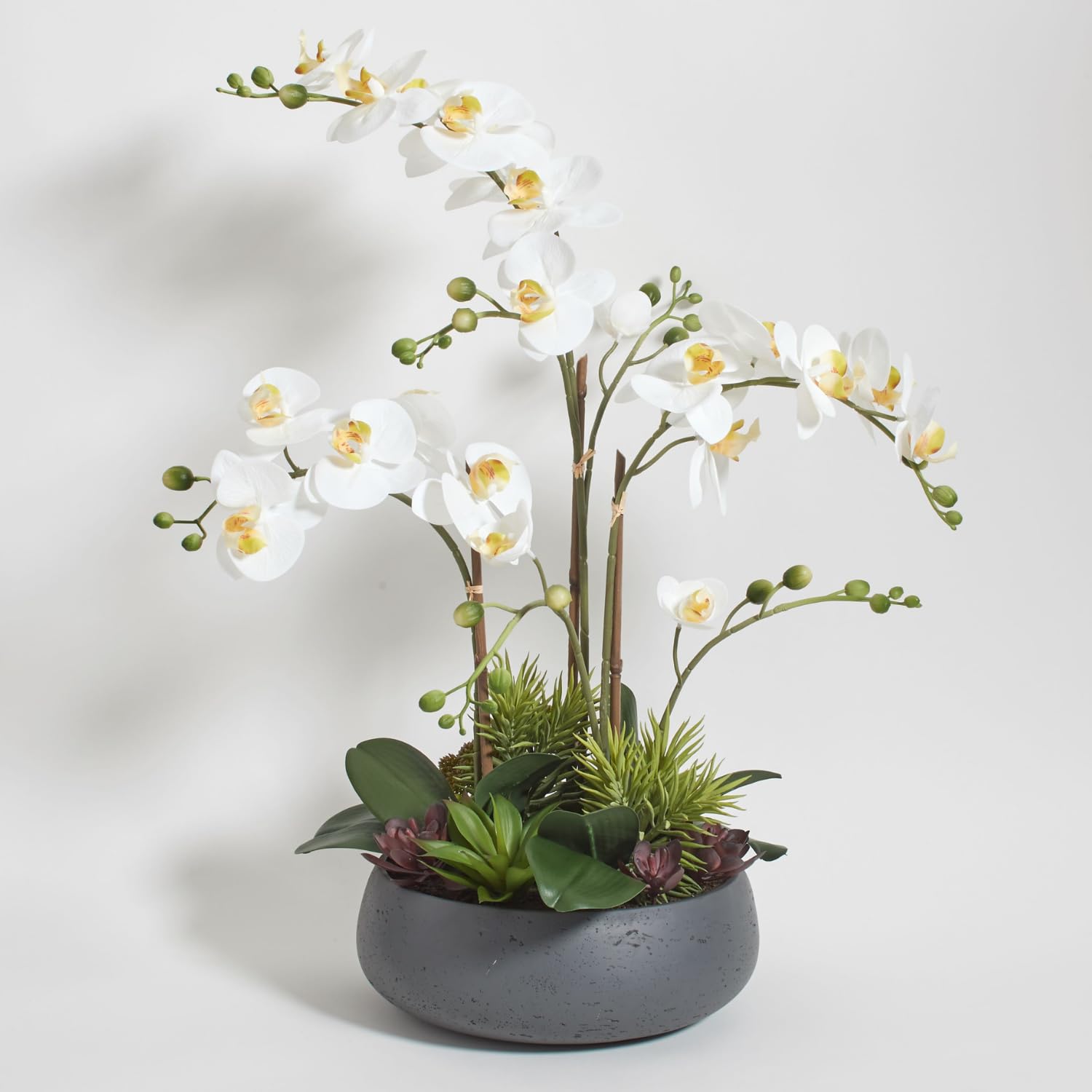 indoor orchid plant stand FLORAL 24IN Orchid with Succulents CG Hunter