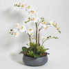 CG Hunter Faux Orchid Plant w/Succulents, Premium Artificial Indoor Flower Display Stands 24    w/Beautiful Sculptural Blooms an