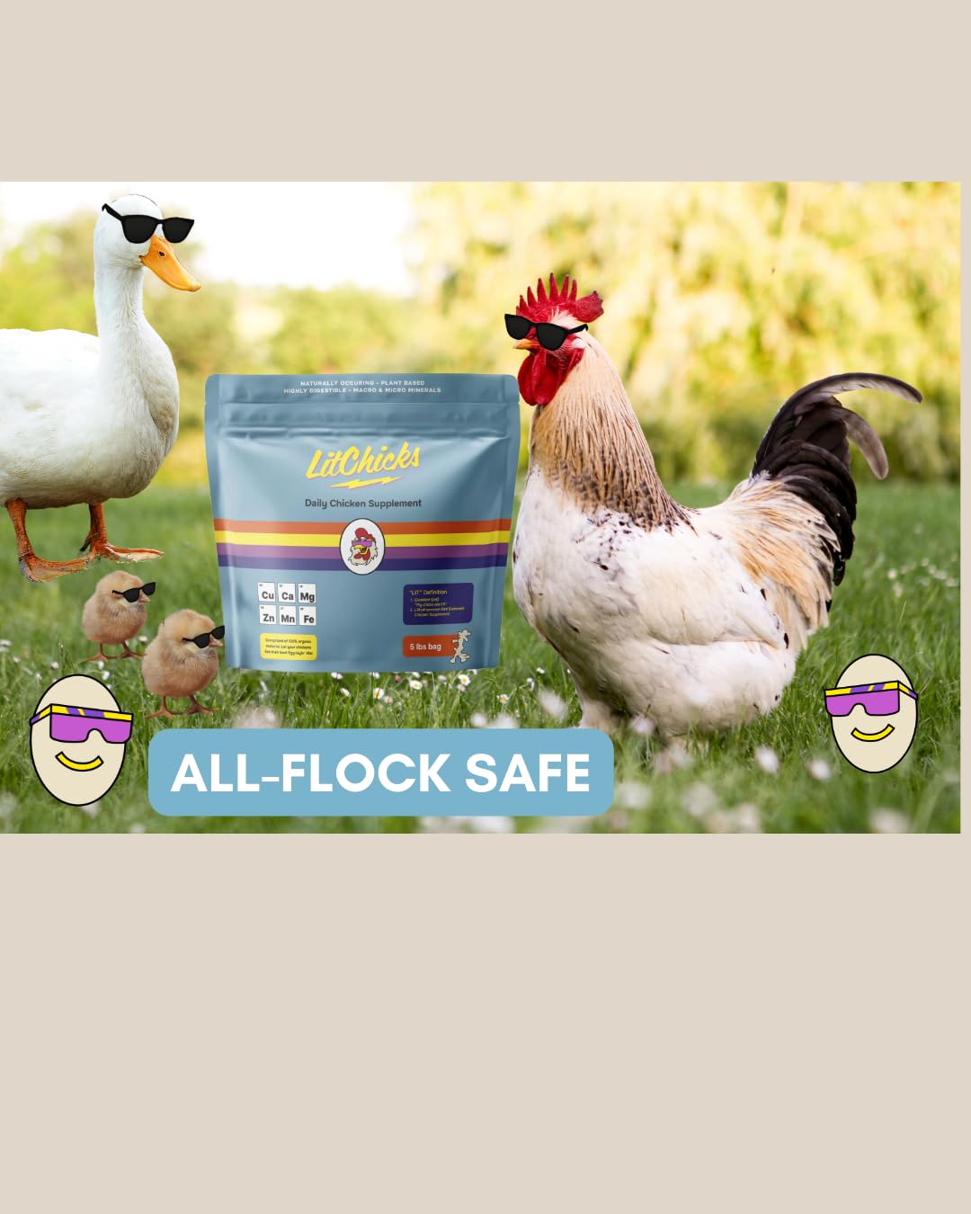 LitChicks Calcified Seaweed for Laying Chickens - Crushed Oyster Shell Alternative - Highly Digestible - Single Ingredient - Hel
