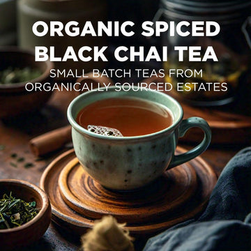 Maud'S Organic Chai Tea (Spiced Cha-Cha Chai), 24Ct. Solar Energy Produced Recyclable Single Serve Spiced Chai Tea Organic Black