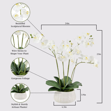 Cg Hunter Faux White Orchid Plant, Premium Artificial Indoor Flower Display Stands 23   , Beautiful Sculptural Blooms That Lasts