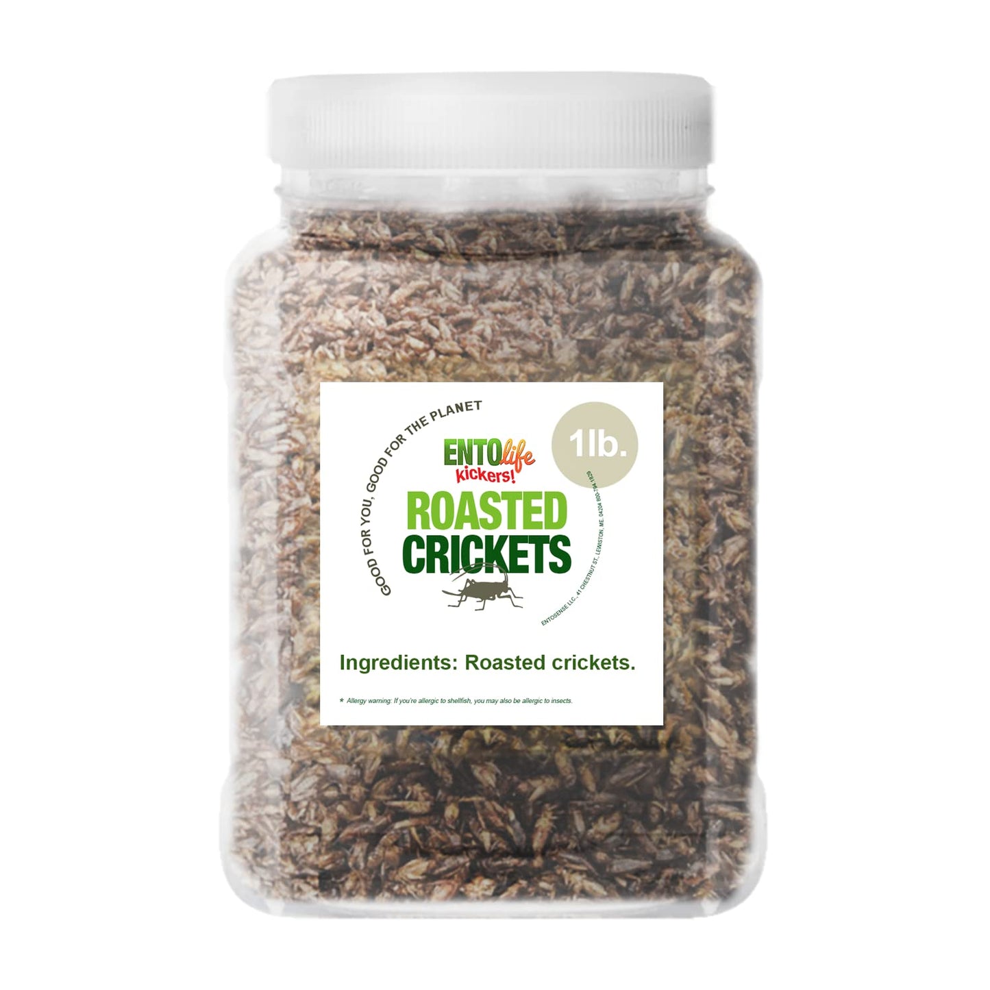 Roasted Edible Crickets - Pound Size - Pound Size - Crickets you can eat - Farm raised for human consumption, 16 Ounce