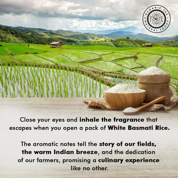 Pride Of India - Pack Of 6 - Extra Long Indian Basmati Rice, Naturally Aged Aromatic Grain, 3 Lbs Jar