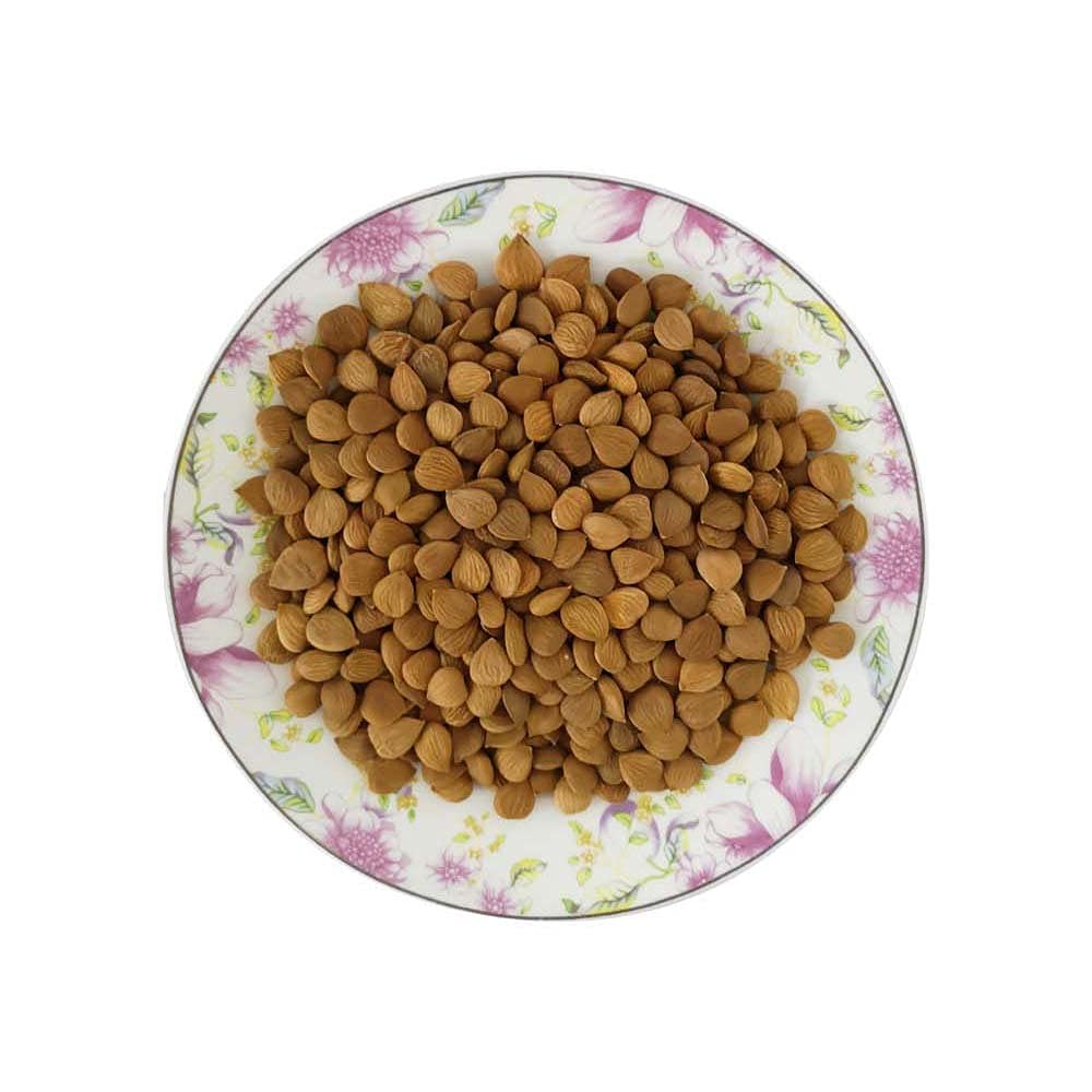 Natural Raw Bitter Apricot Kernels 16oz Organic USDA Certified Bitter Apricot Seeds 1LB