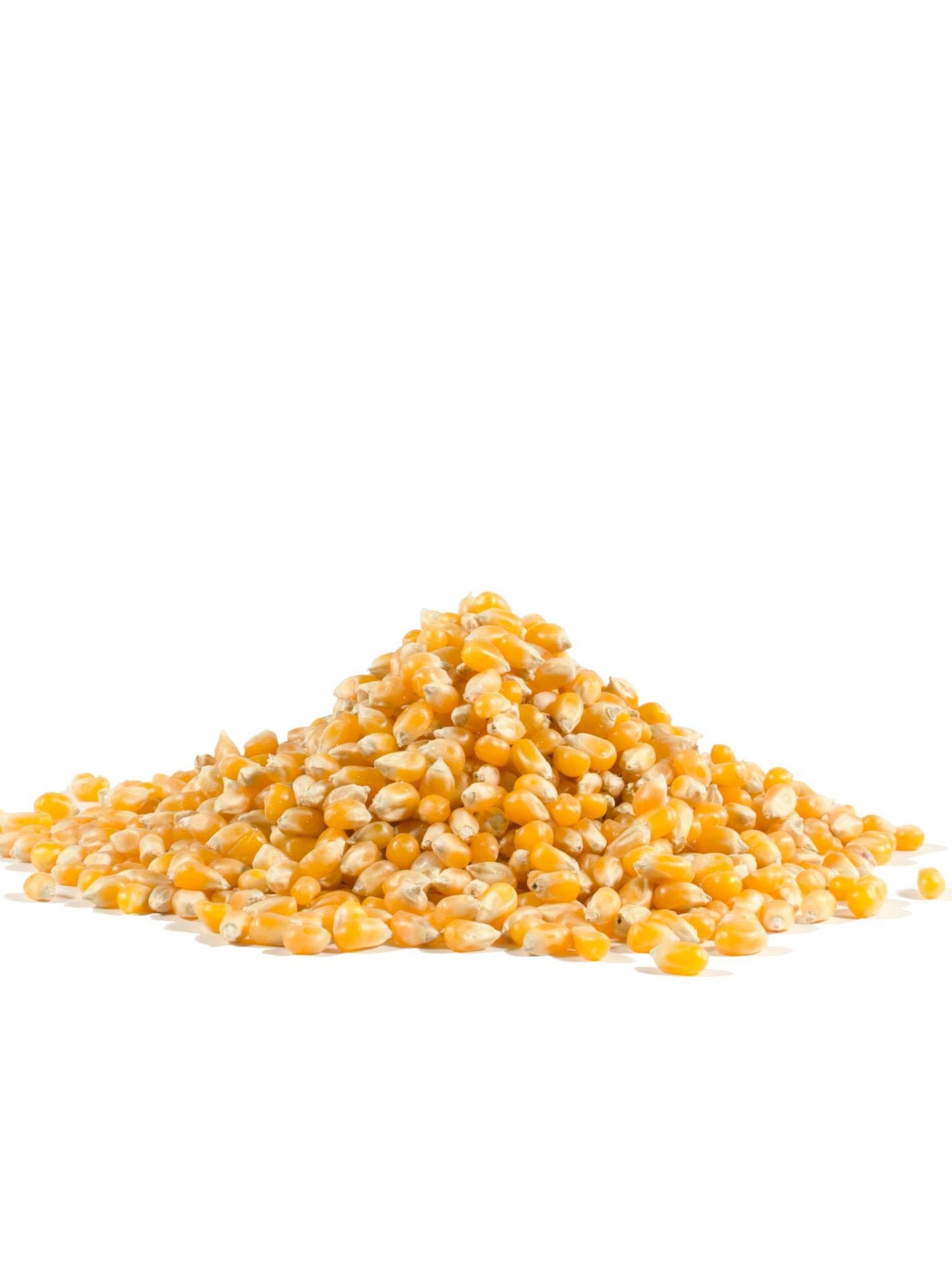 Bob'S Red Mill Whole Yellow Popcorn, 30 Oz
