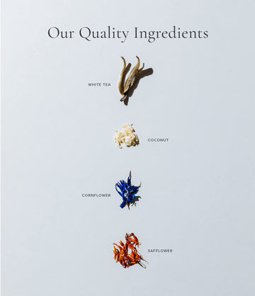 Art Of Tea | Organic White Coconut Crme | 12 Count Eco Friendly Sampler Box Assortment | Premium Caffeinated Organic White Tea V