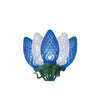 Holiday Living 25 ct. LED c9 - Blue and White