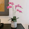 CG Hunter Faux Pink Orchid Plant, Premium Artificial Indoor Flower Display Stands 24   , Beautiful Sculptural Blooms That Lasts