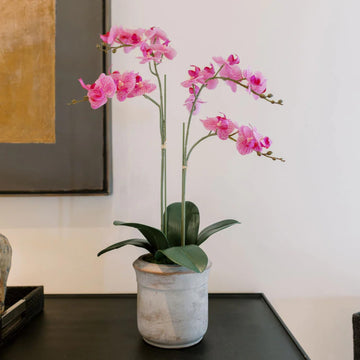 CG Hunter Faux Pink Orchid Plant, Premium Artificial Indoor Flower Display Stands 24   , Beautiful Sculptural Blooms That Lasts