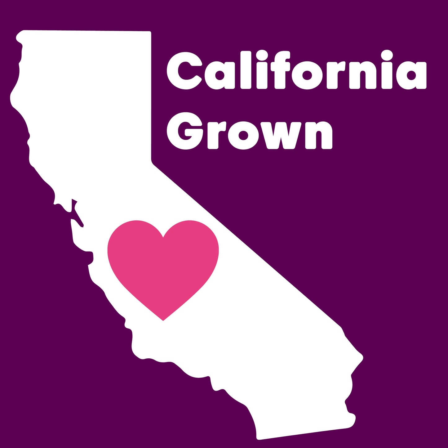 Wilderness Poets, Pistachio Butter - Organic, Raw, 100% Pistachio (64 Ounce - 4 Pound) - Half Gallon Glass Jar