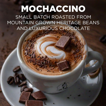 Maud'S Chocolate Mocha Cappuccino Coffee Pods, 50 Ct | Mochaccino Mocha Flavor | 100% Arabica Coffee | Solar Energy Produced Rec